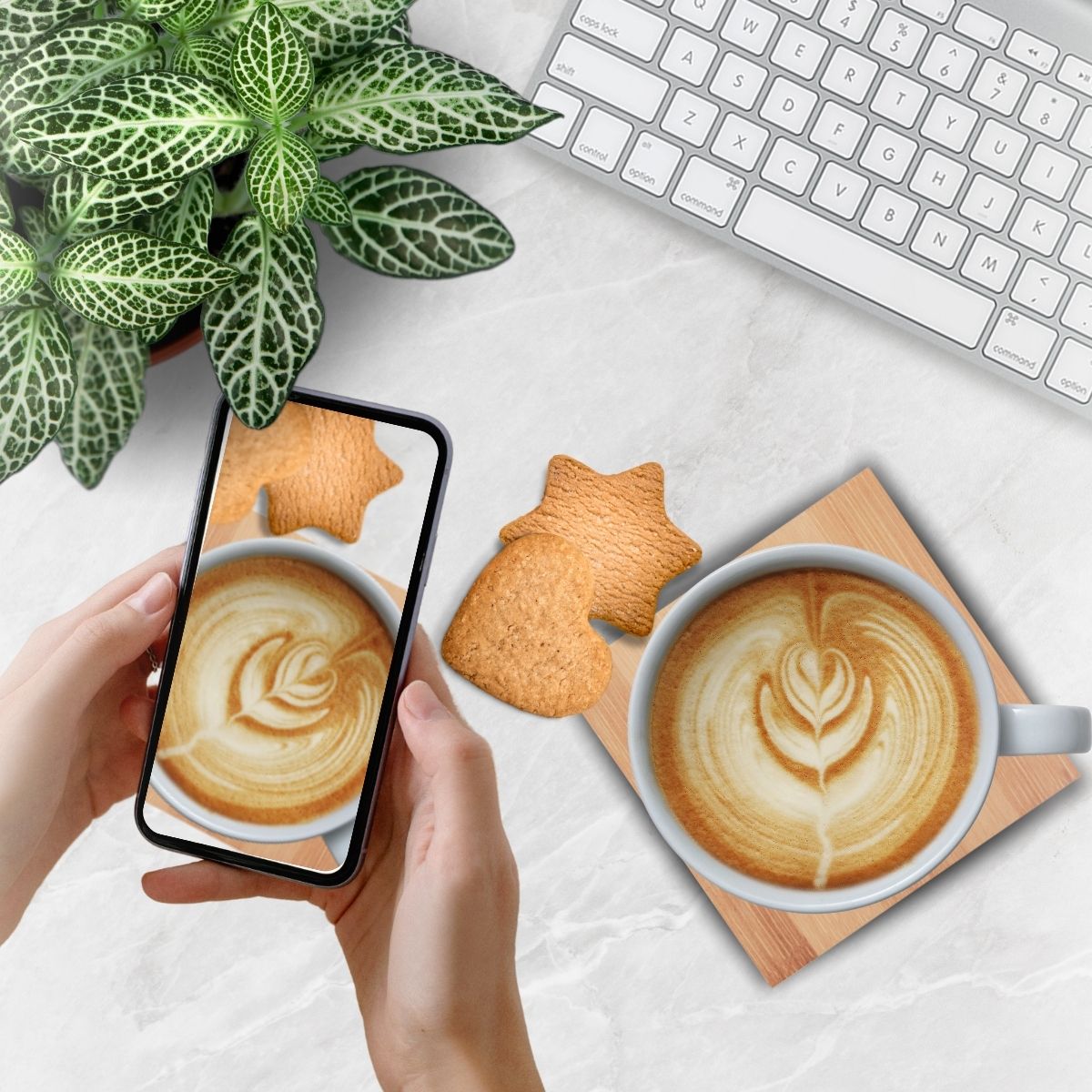 Bamboo Coaster Set - 3