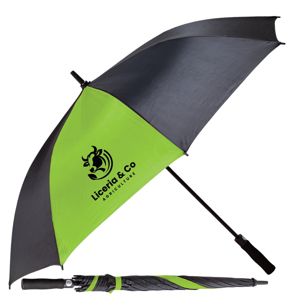 Classic Pop Up 2 Tone Umbrella - 6