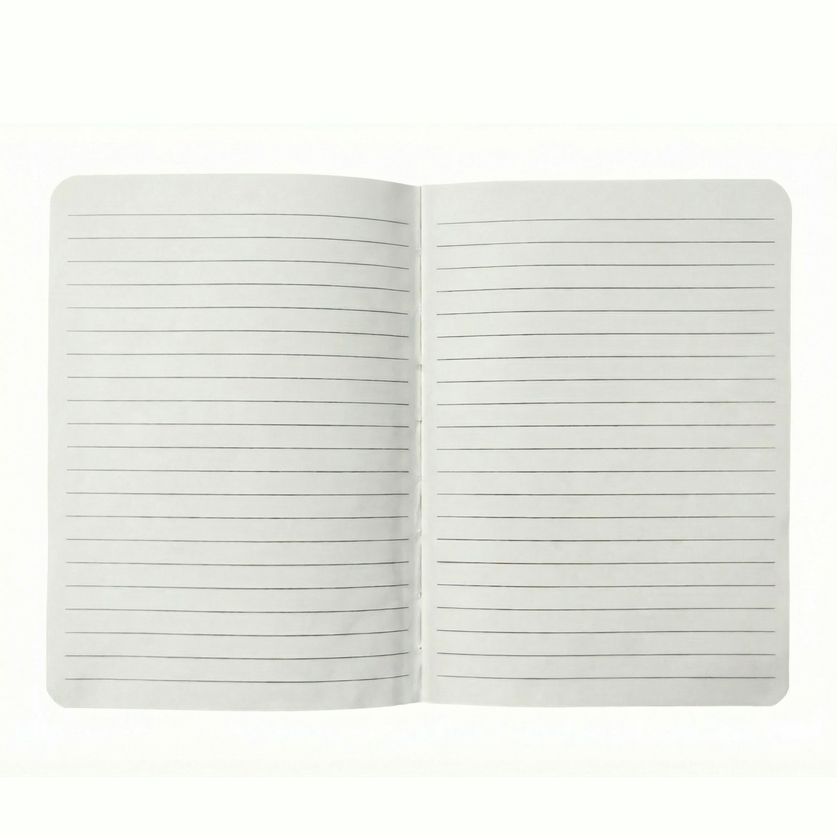 Bingham Notebook - 6