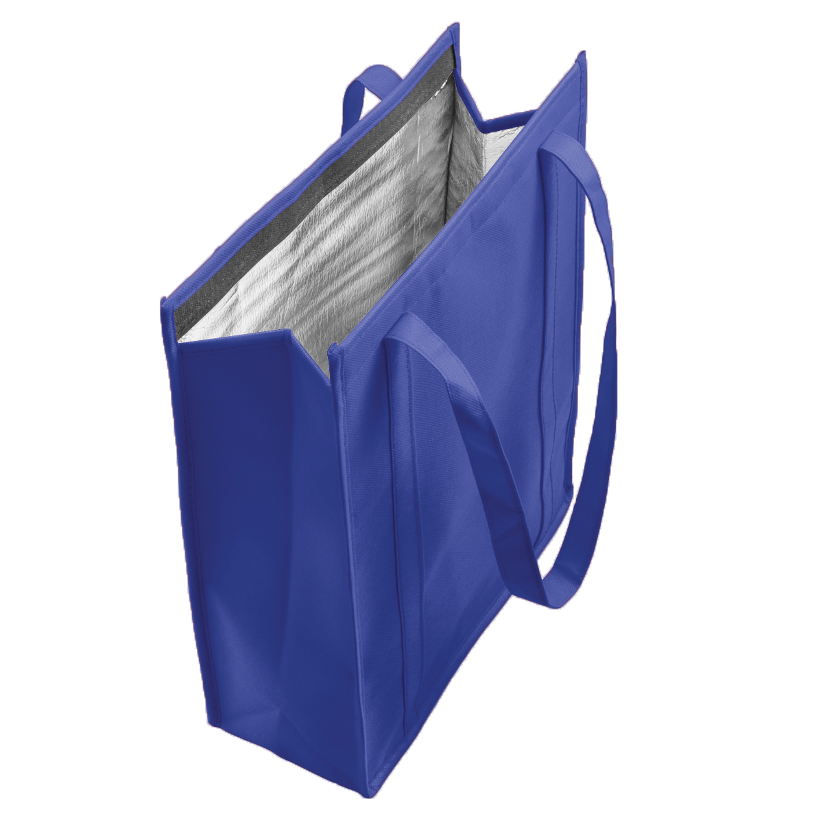 EasyCool Cooler Bag - 13