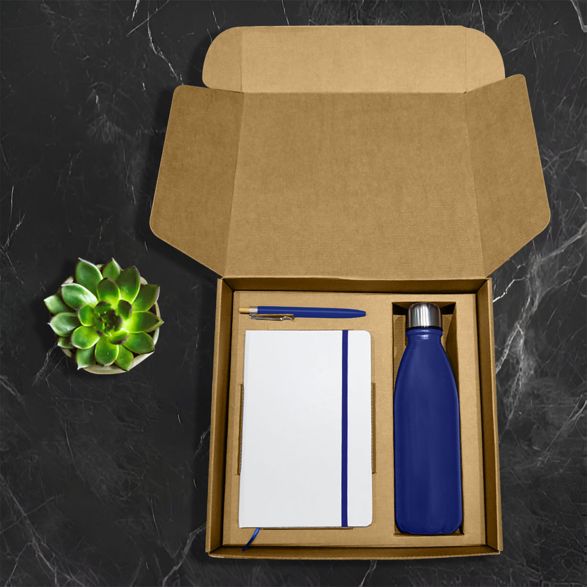 Sip & Script Essentials Gift Set - 5
