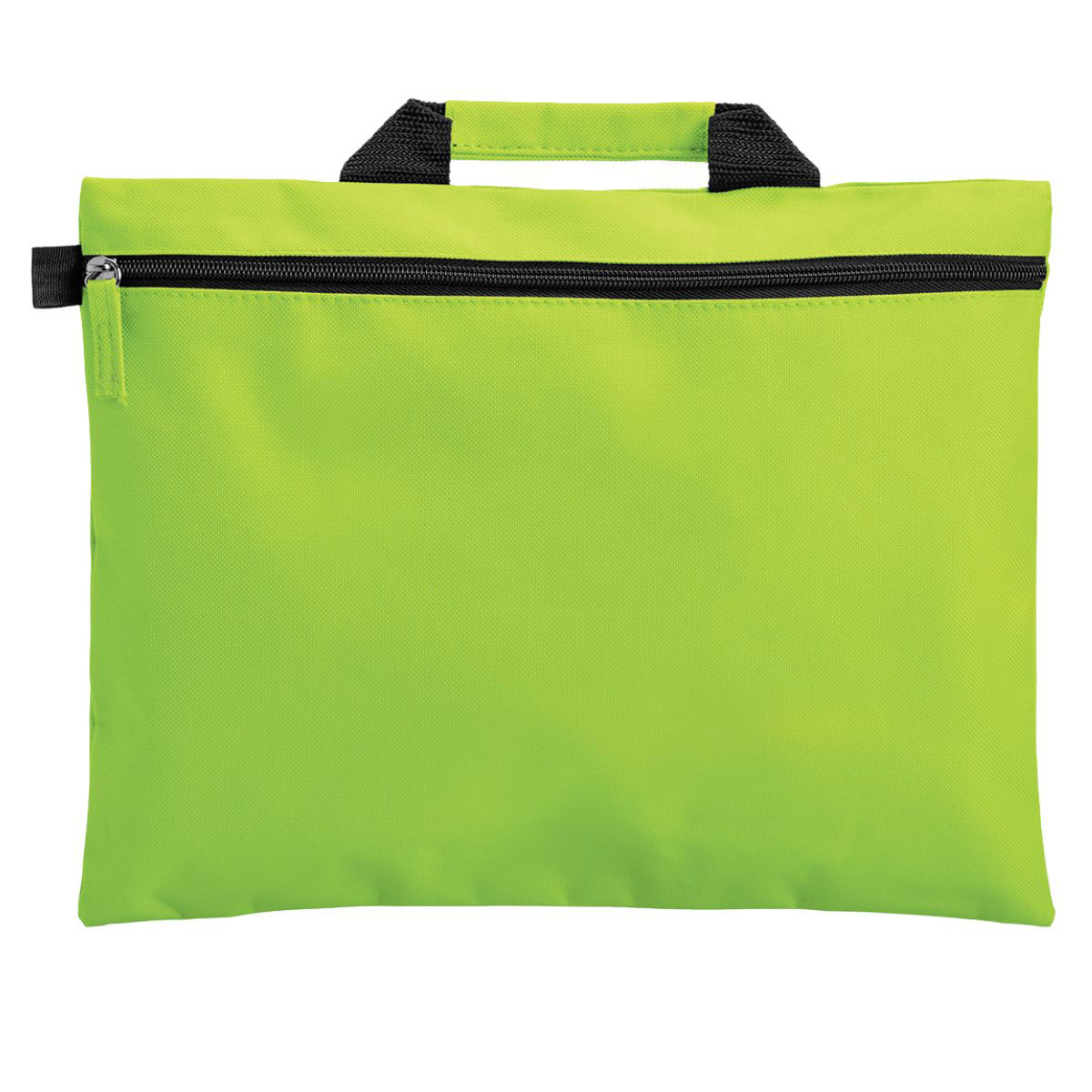 Document Carry Bag - 13