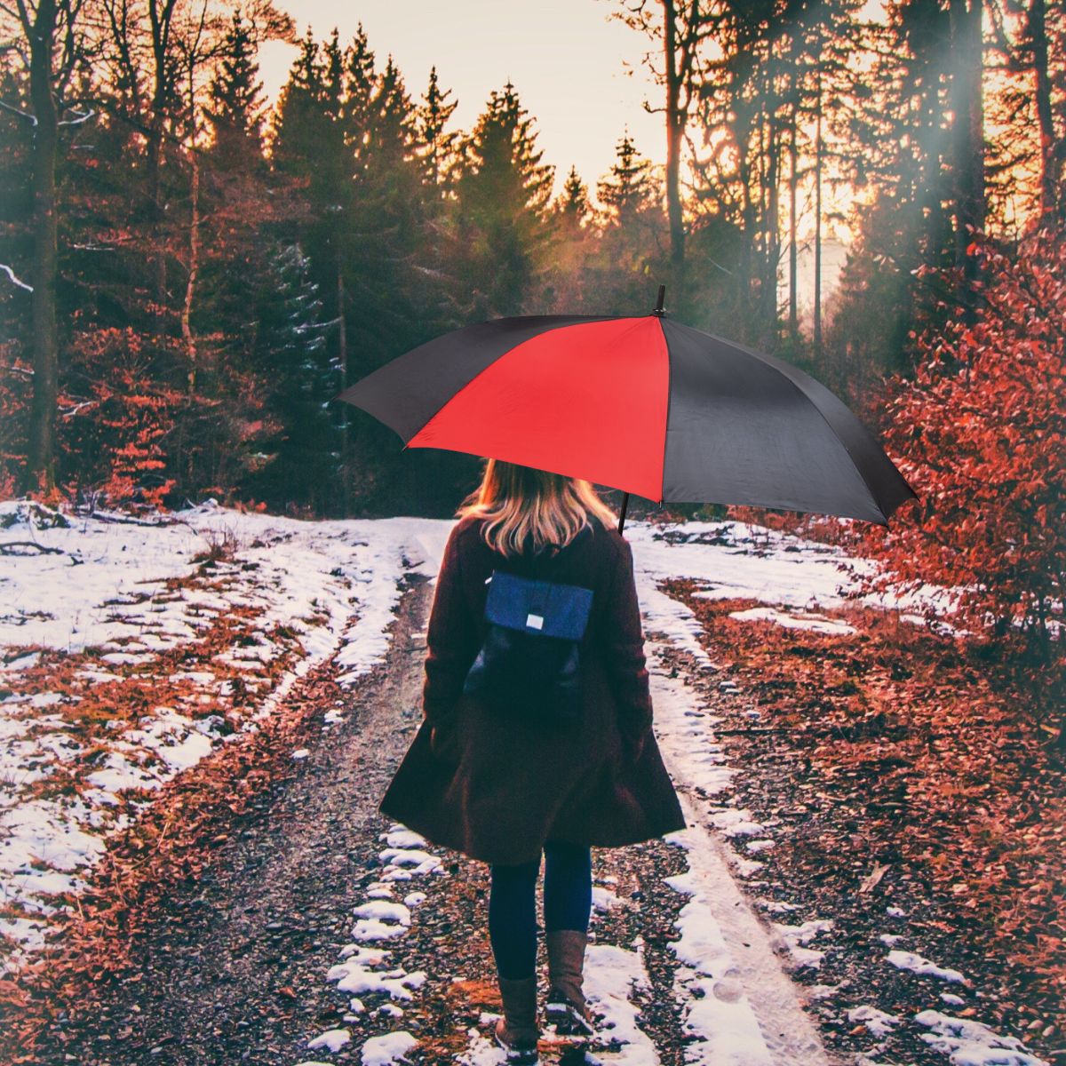 Classic Pop Up 2 Tone Umbrella - 5