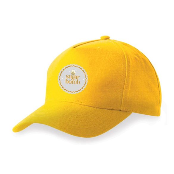 5 Panel Cap image