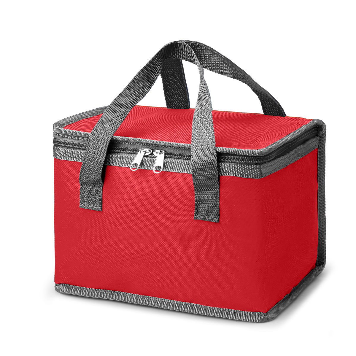 Colony 6 Can Cooler - 16